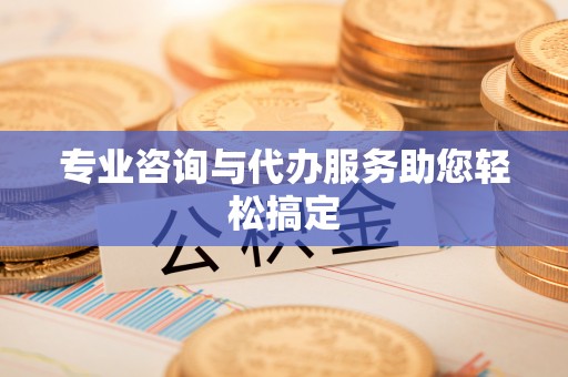 石家庄专业咨询与代办服务助您轻松搞定