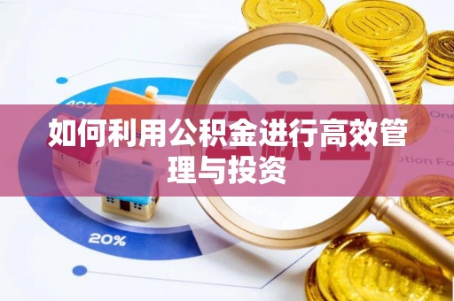 石家庄如何利用公积金进行高效管理与投资