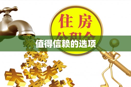 石家庄值得信赖的选项