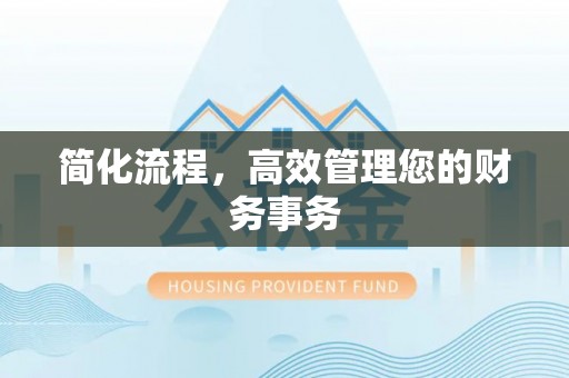 石家庄简化流程，高效管理您的财务事务