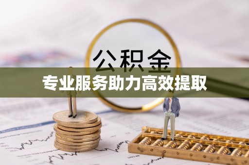 石家庄专业服务助力高效提取
