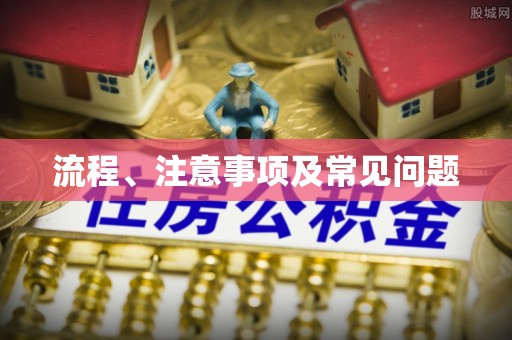 石家庄流程、注意事项及常见问题