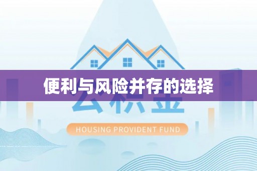 石家庄便利与风险并存的选择