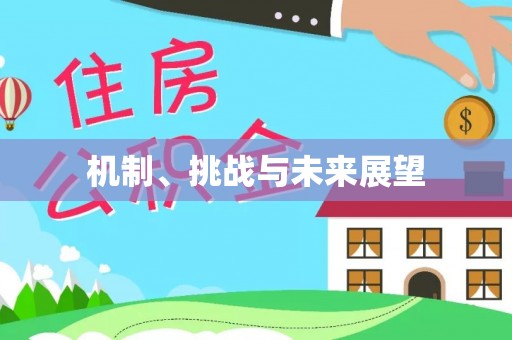 石家庄机制、挑战与未来展望