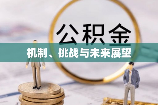 石家庄机制、挑战与未来展望