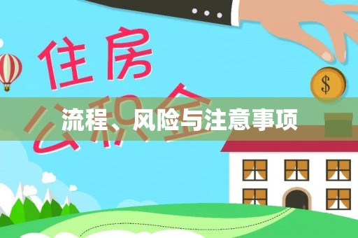 石家庄流程、风险与注意事项