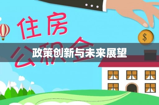 石家庄政策创新与未来展望