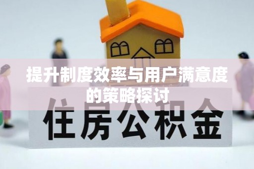 石家庄提升制度效率与用户满意度的策略探讨