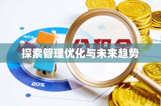 石家庄探索管理优化与未来趋势