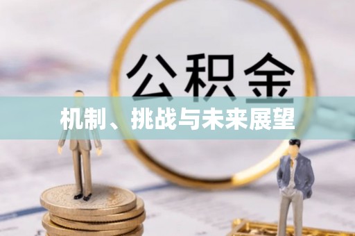 石家庄机制、挑战与未来展望